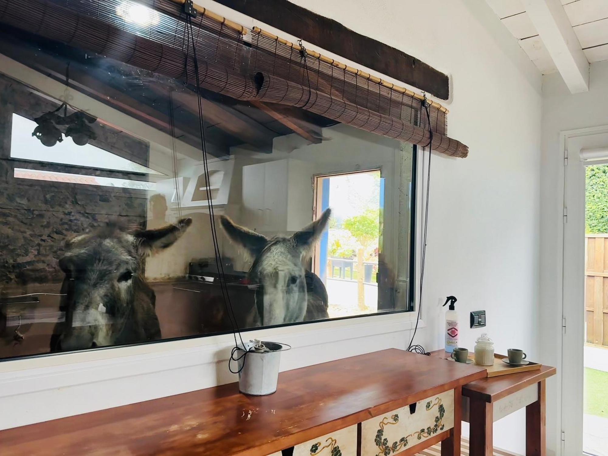 Casa Antigua Villa La Esperanza  Luaran gambar