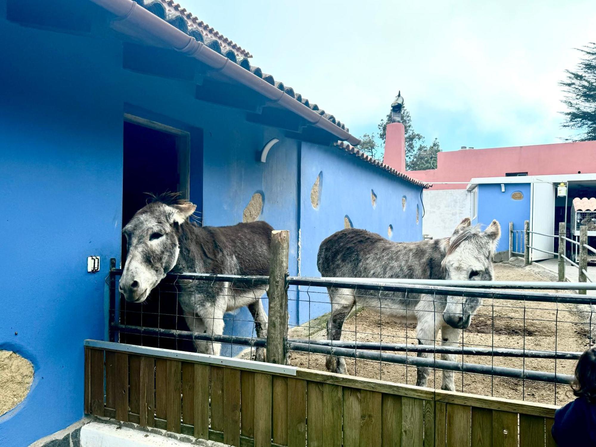 Casa Antigua Villa La Esperanza  Luaran gambar